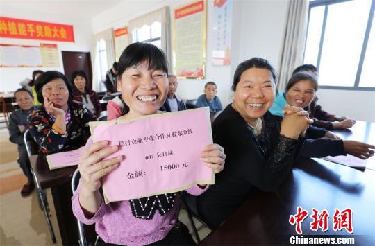 广东湛江一个省定贫困村的变迁