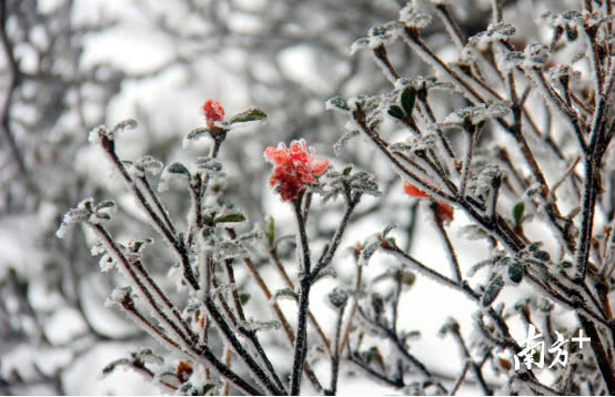 广东阴雨寒冷天气持续，韶关、清远山区将有冰冻