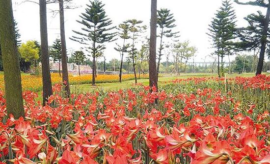 践行绿色发展理念 建设生态海湾城市