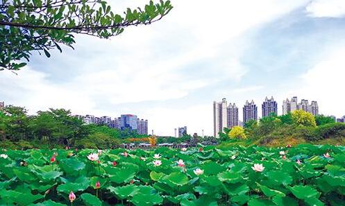 践行绿色发展理念 建设生态海湾城市
