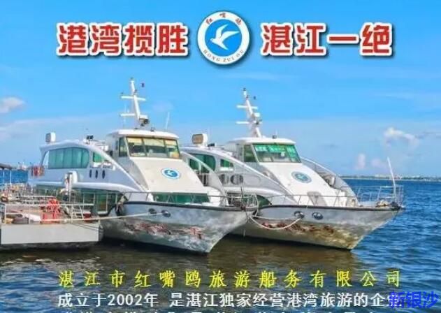 湛江旅游新地标——红嘴鸥游船带你畅游港湾，打造极致游玩体验