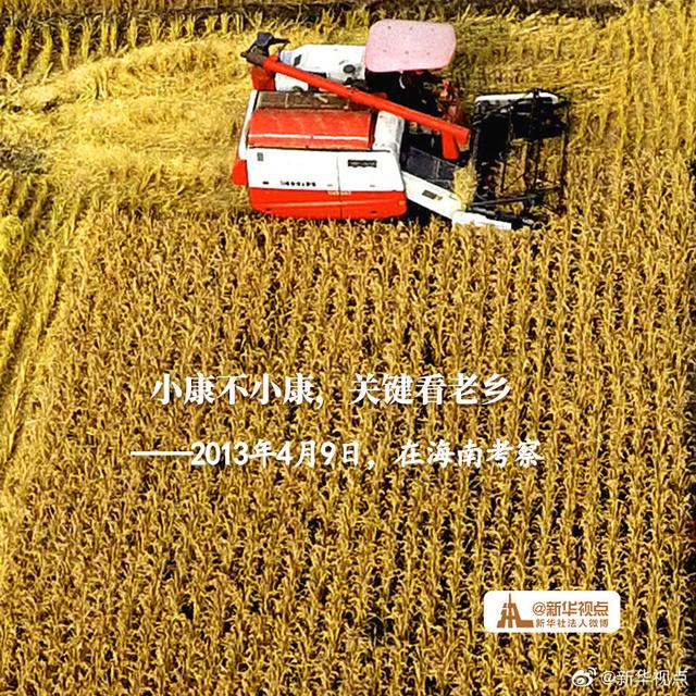 习近平总书记的“三农”寄语