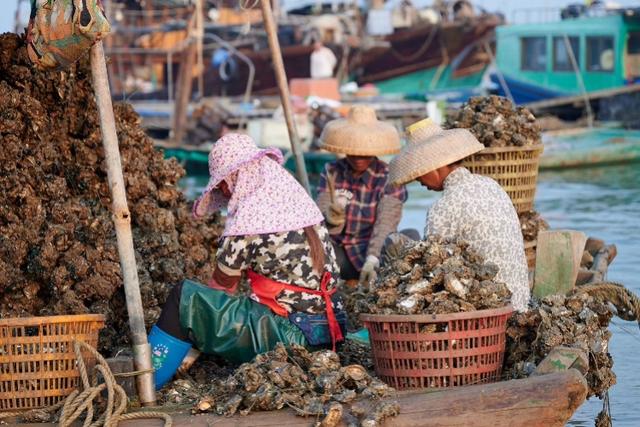 90后湛江“蚝二代”要靠双十一造爆款,物流小哥不仅送货还带货