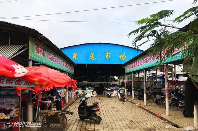 又发现一个湛江旅游“处女地”，藏着最美的珊瑚民宿