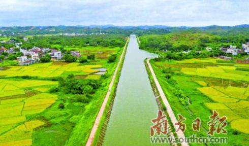 湛江：“河长制”绘就河畅水清岸绿景美生态画卷