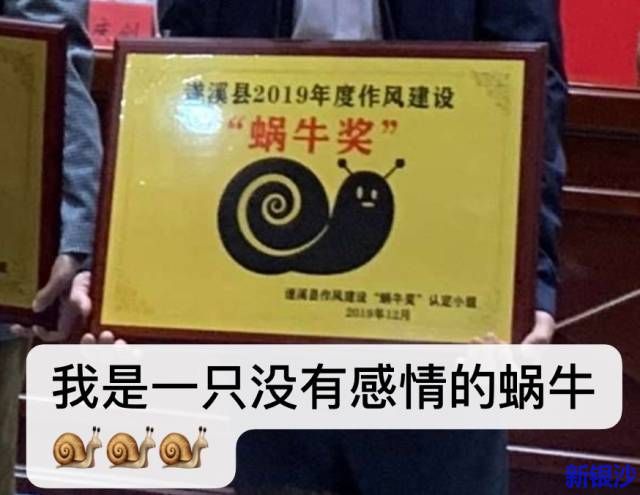 湛江遂溪政府颁发“蜗牛奖”，获奖者表情亮了……