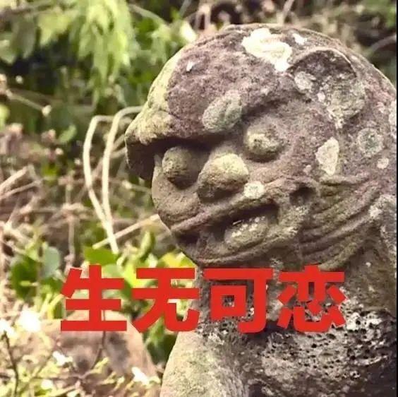 互联网下乡，它们上线！湛江的扶贫之路不一般！ | 脱贫在“e”线