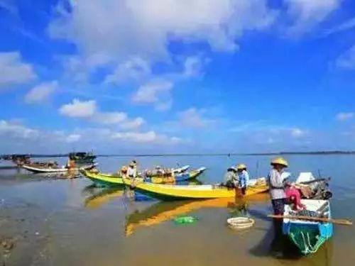 互联网下乡，它们上线！湛江的扶贫之路不一般！ | 脱贫在“e”线