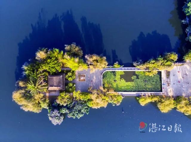 互联网下乡，它们上线！湛江的扶贫之路不一般！ | 脱贫在“e”线