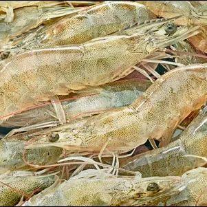 互联网下乡，它们上线！湛江的扶贫之路不一般！ | 脱贫在“e”线
