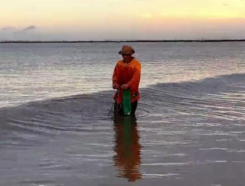 9月4日，湛江亮相央视《见证》栏目