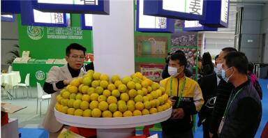 湛江产品香飘渝城！中国国际农产品交易会27-30日在重庆举行