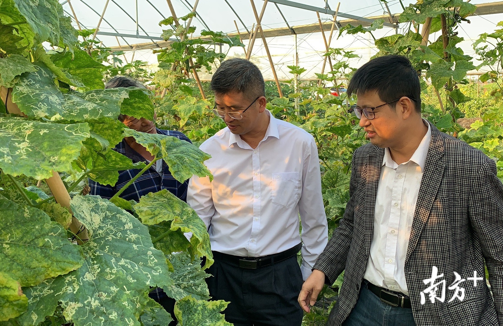 吴川两单位获评“湛江市农村科普示范基地”