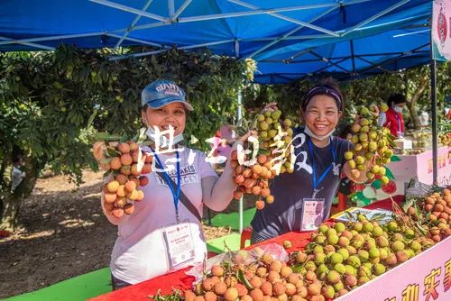 这几天，湛江的水果都在忙着“开party”