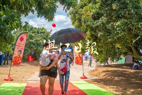 这几天，湛江的水果都在忙着“开party”