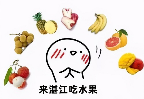 湛江的水果都在忙着“开party”