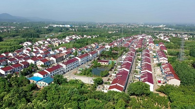 2021年湛江市文明村和先进文明村名单公示