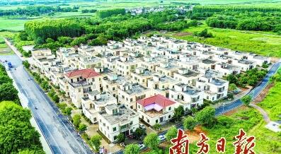 湛江雷州 国家历史文化名城绘就乡村振兴新蓝图