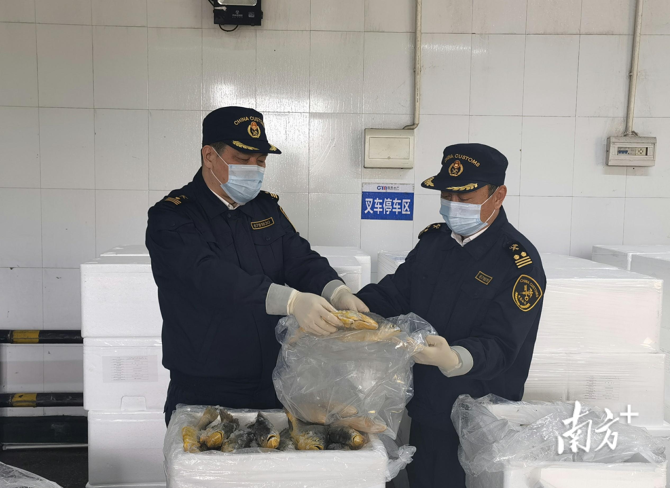 一季度湛江供港食品同比增长181%，逾2.4亿元