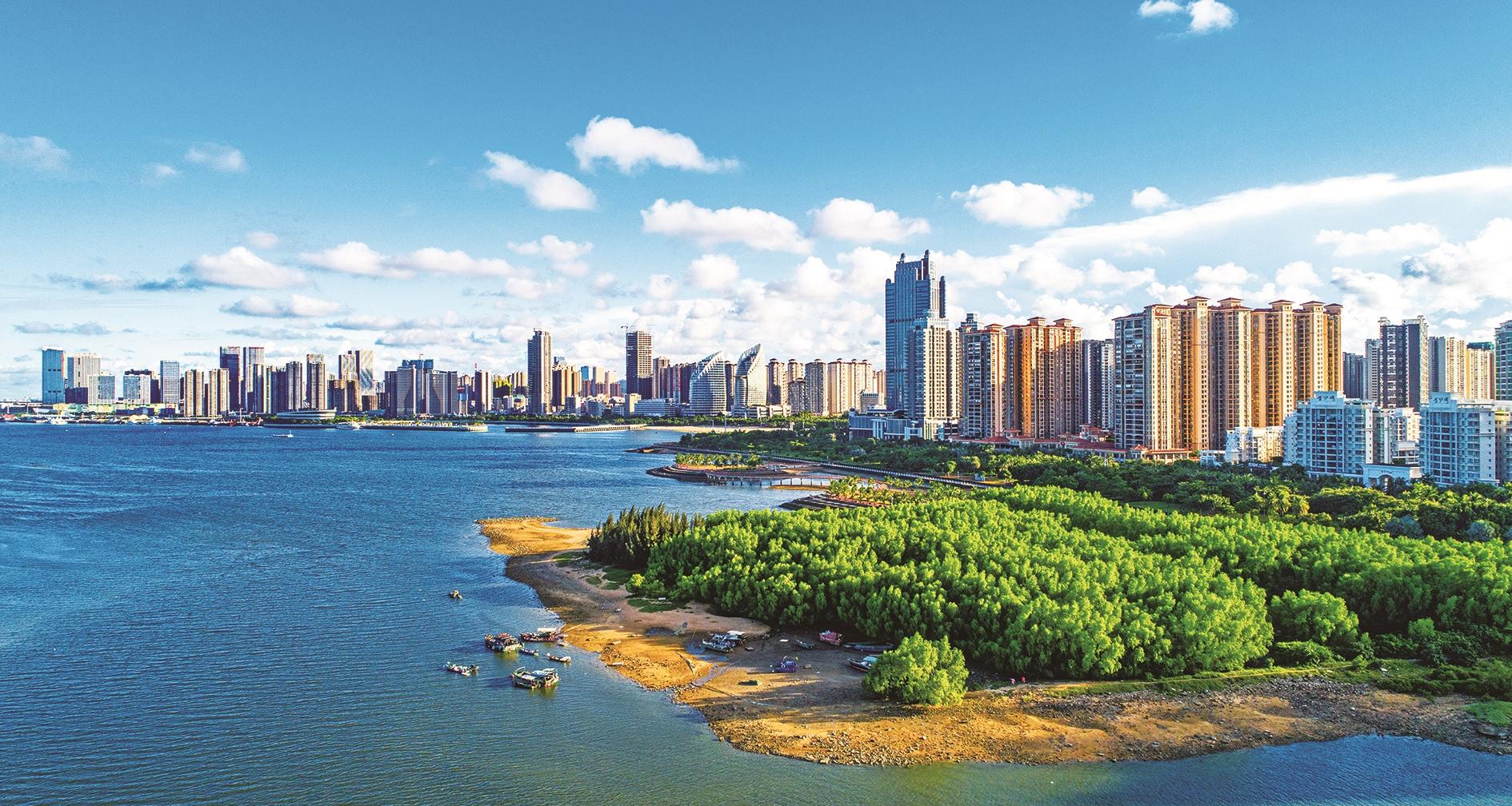 绿叶下的“红树林”为湛江带来“蓝碳经济”